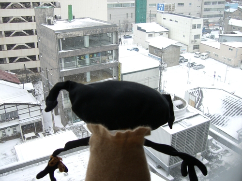 一夜明ければ雪である